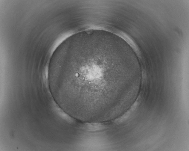 X0000113271198200910011421