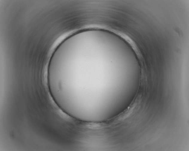 X0000113271199200910011421