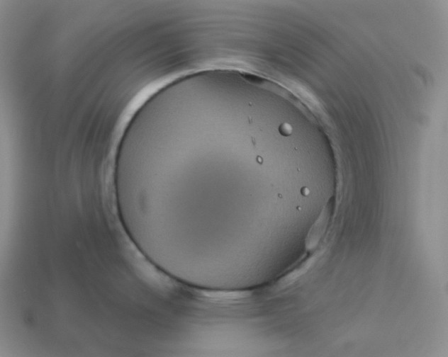 X0000113271200200910011421