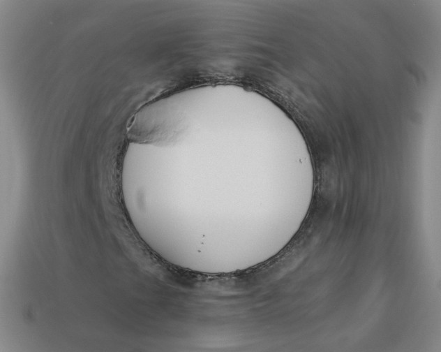 X0000113271201200910011421