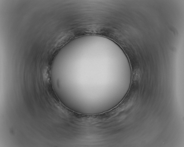 X0000113271202200910011421