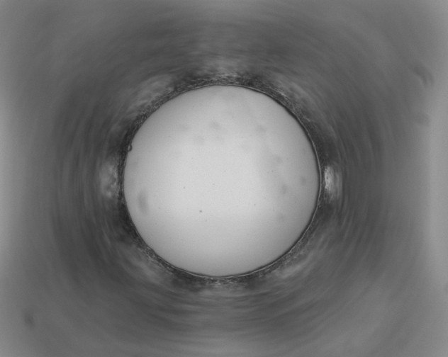 X0000113271203200910011421