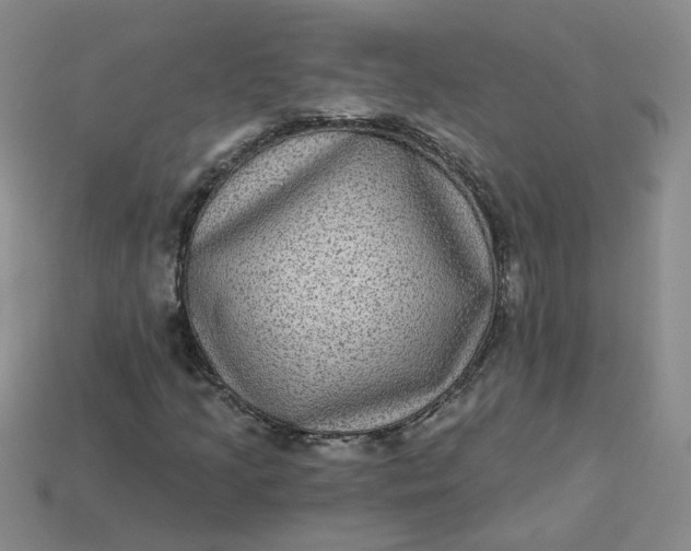 X0000113271205200910011421