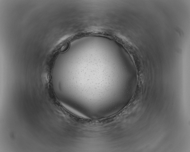 X0000113271206200910011421