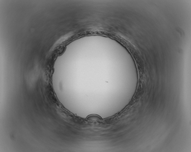 X0000113271207200910011421