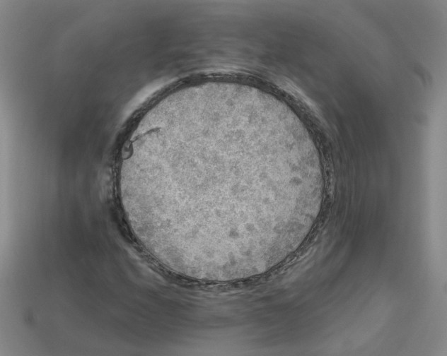 X0000113271208200910011421