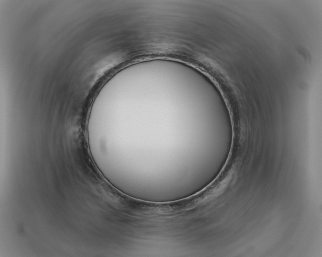 X0000113271210200910011421