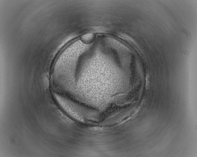 X0000113271212200910011421