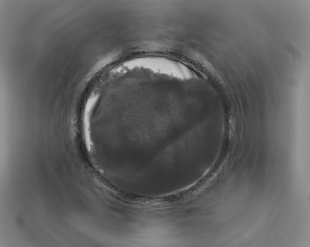 X0000113271213200910011421