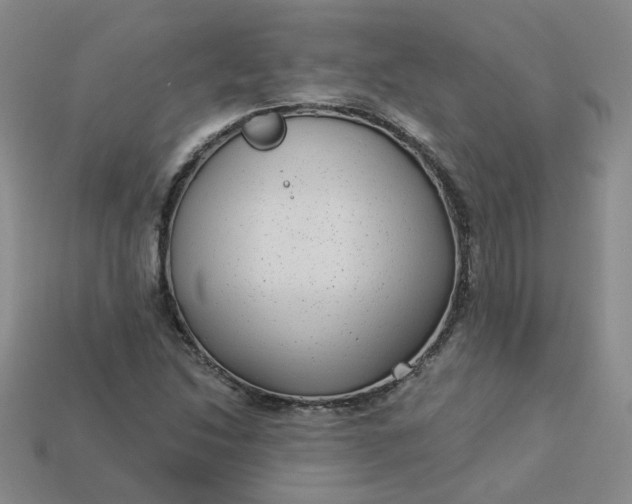 X0000113271214200910011421