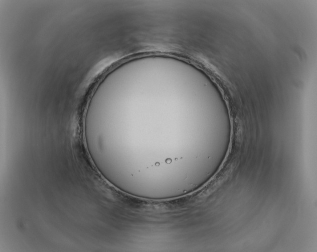 X0000113271215200910011421