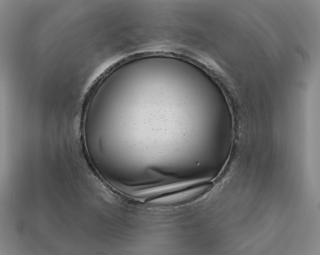 X0000113271216200910011421