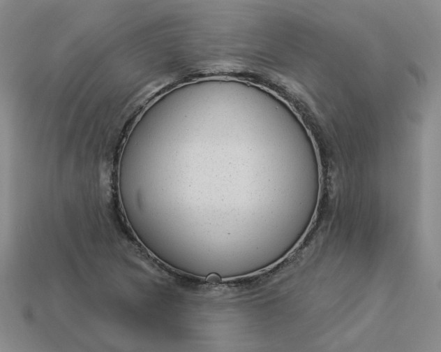 X0000113271217200910011421