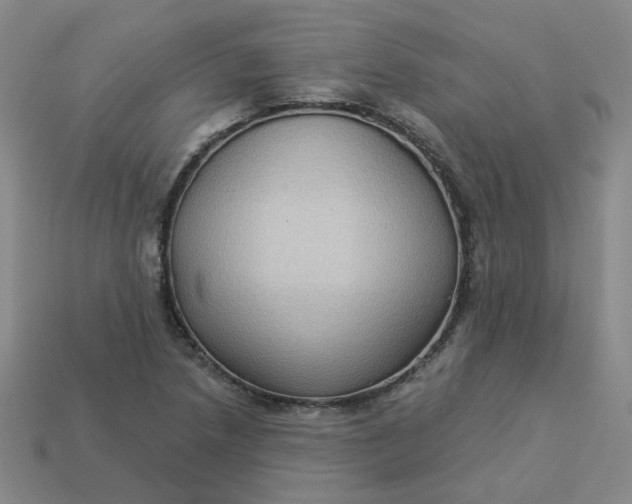 X0000113271218200910011421