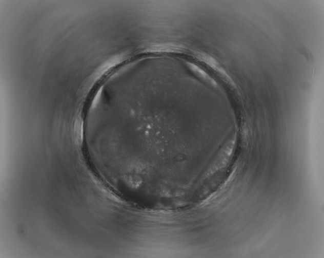 X0000113271221200910011421