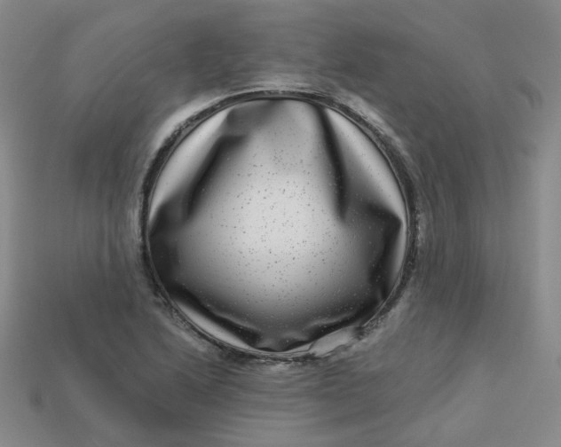 X0000113271222200910011421