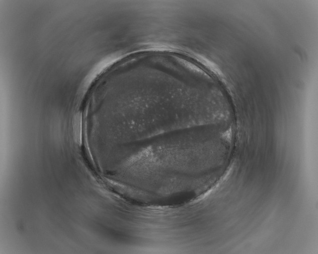 X0000113271223200910011421