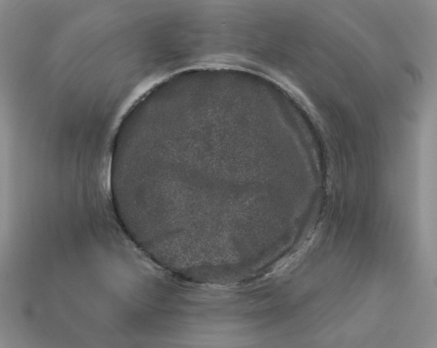 X0000113271224200910011421