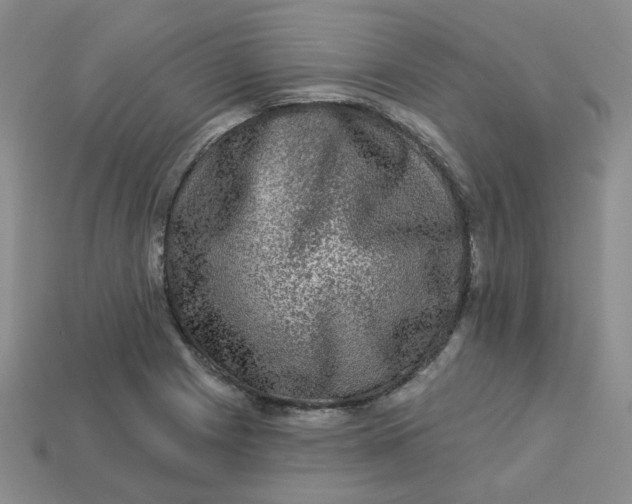 X0000113271225200910011421