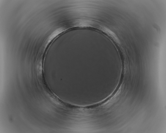 X0000113271226200910011421