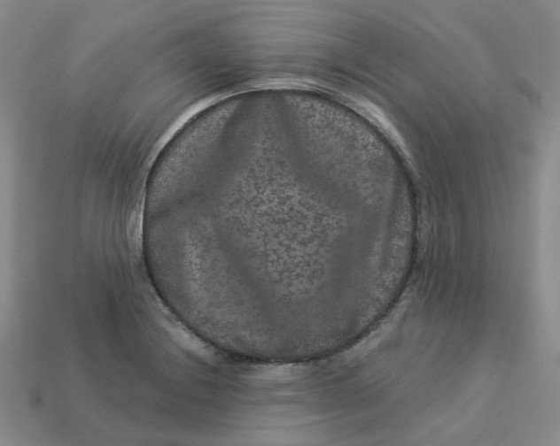 X0000113271228200910011421