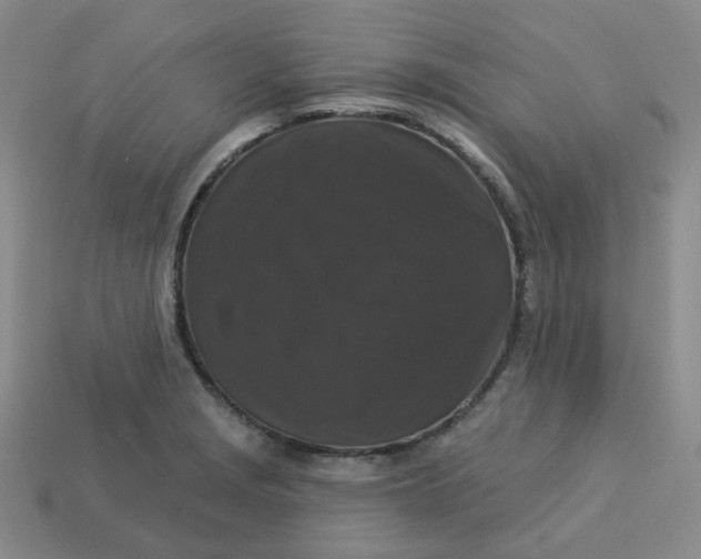 X0000113271229200910011421