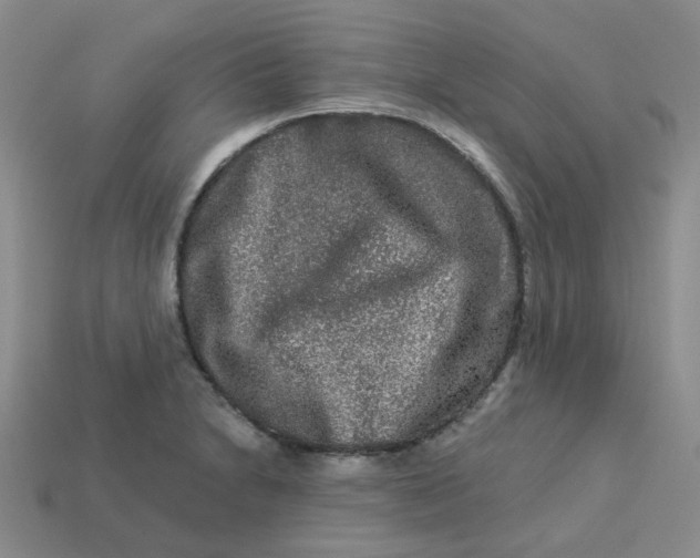 X0000113271230200910011421