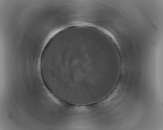 X0000113271231200910011421