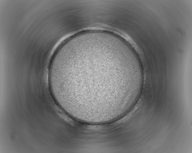 X0000113271232200910011421