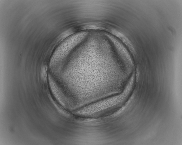 X0000113271233200910011421