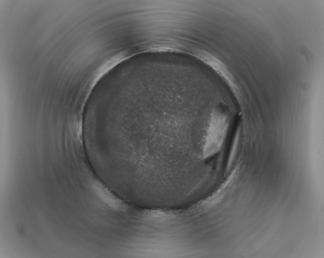 X0000113271234200910011421