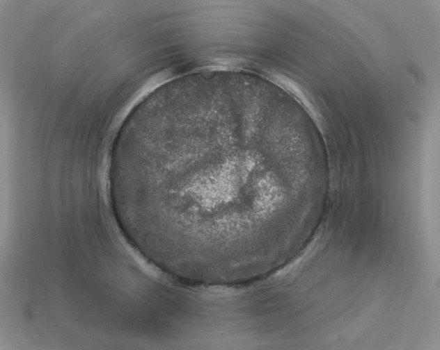 X0000113271235200910011421