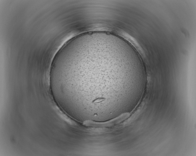 X0000113271236200910011421