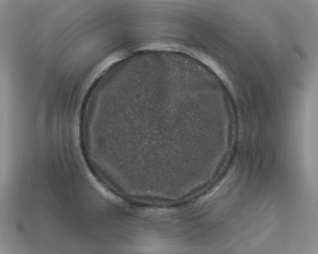 X0000113271237200910011421