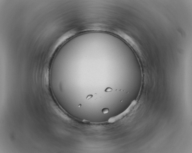 X0000113271238200910011421