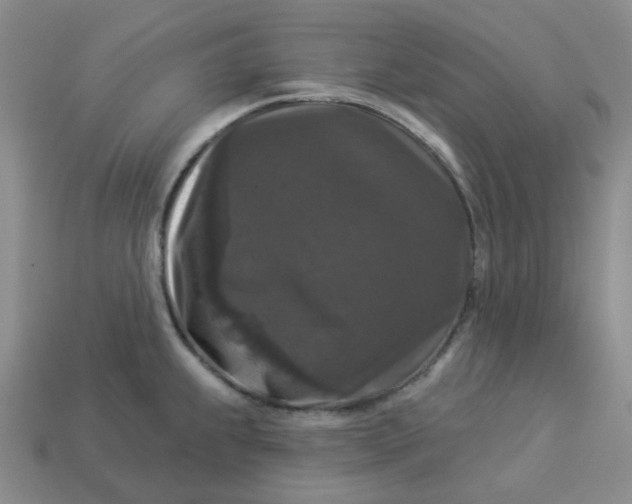 X0000113271239200910011421