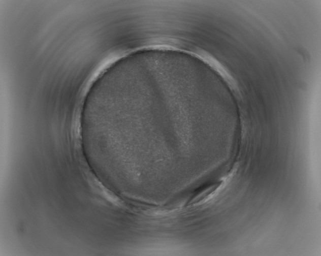 X0000113271240200910011421