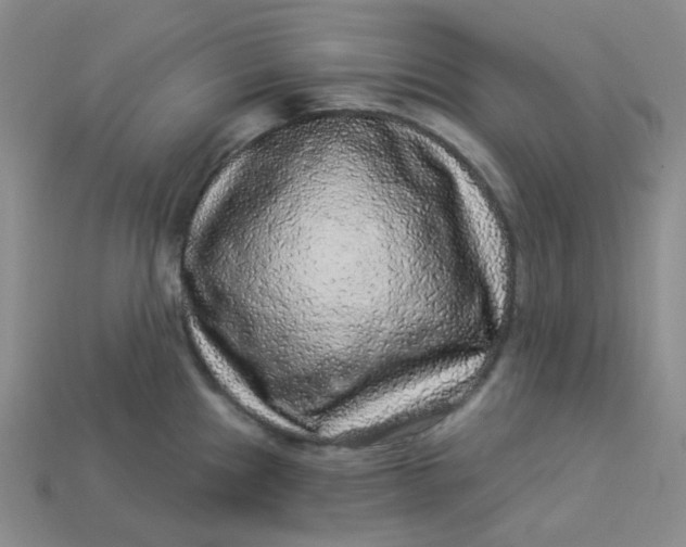 X0000113271241200910011421