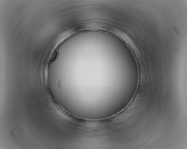 X0000113271242200910011421