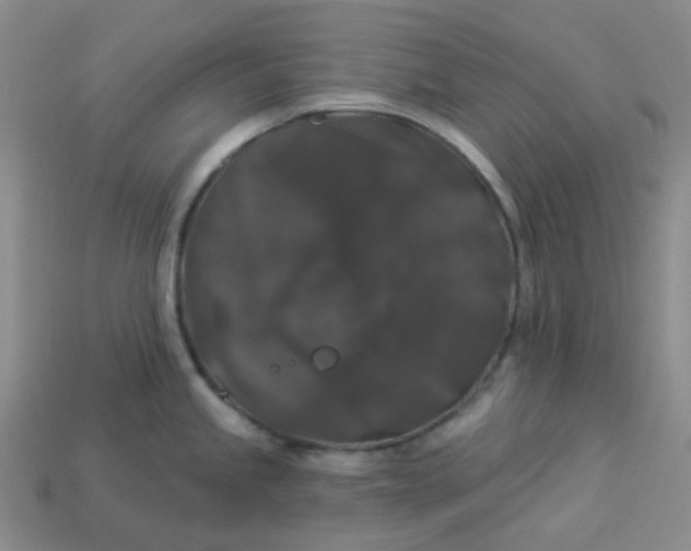 X0000113271245200910011421