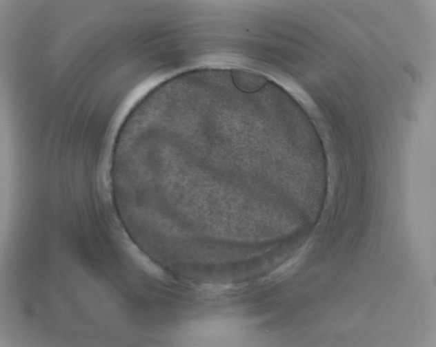 X0000113271248200910011421