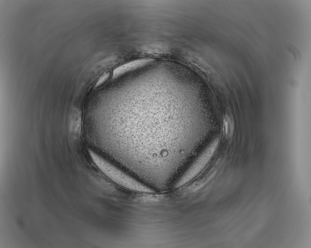 X0000113271251200910011421