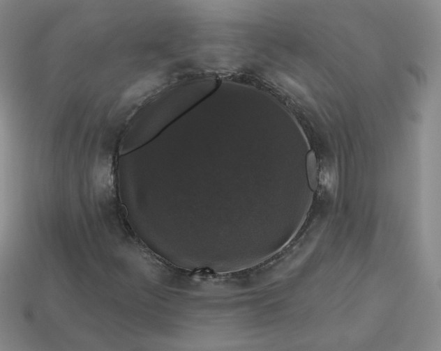 X0000113271252200910011421