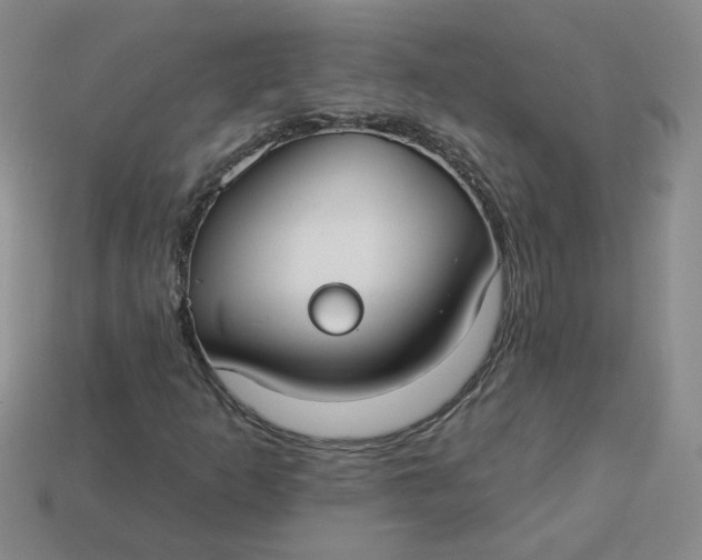 X0000113271253200910011421