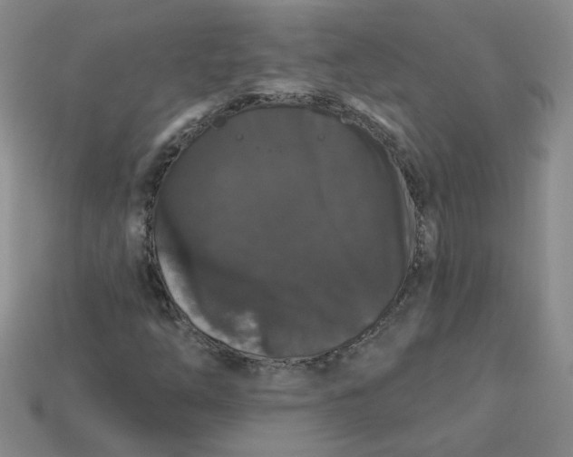 X0000113271254200910011421