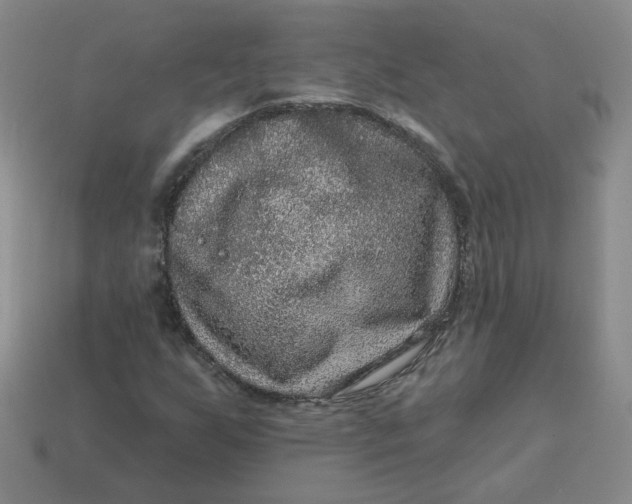 X0000113271255200910011421