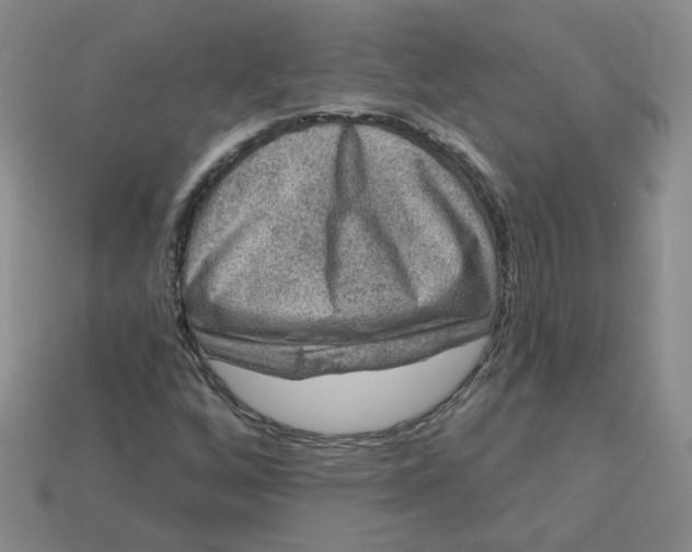 X0000113271256200910011421