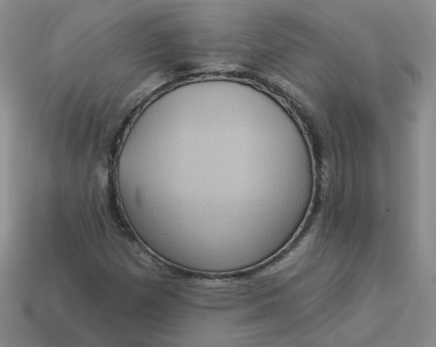 X0000113271257200910011421