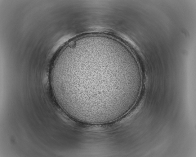 X0000113271259200910011421