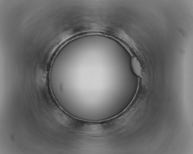 X0000113271260200910011421